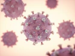 Norovirus